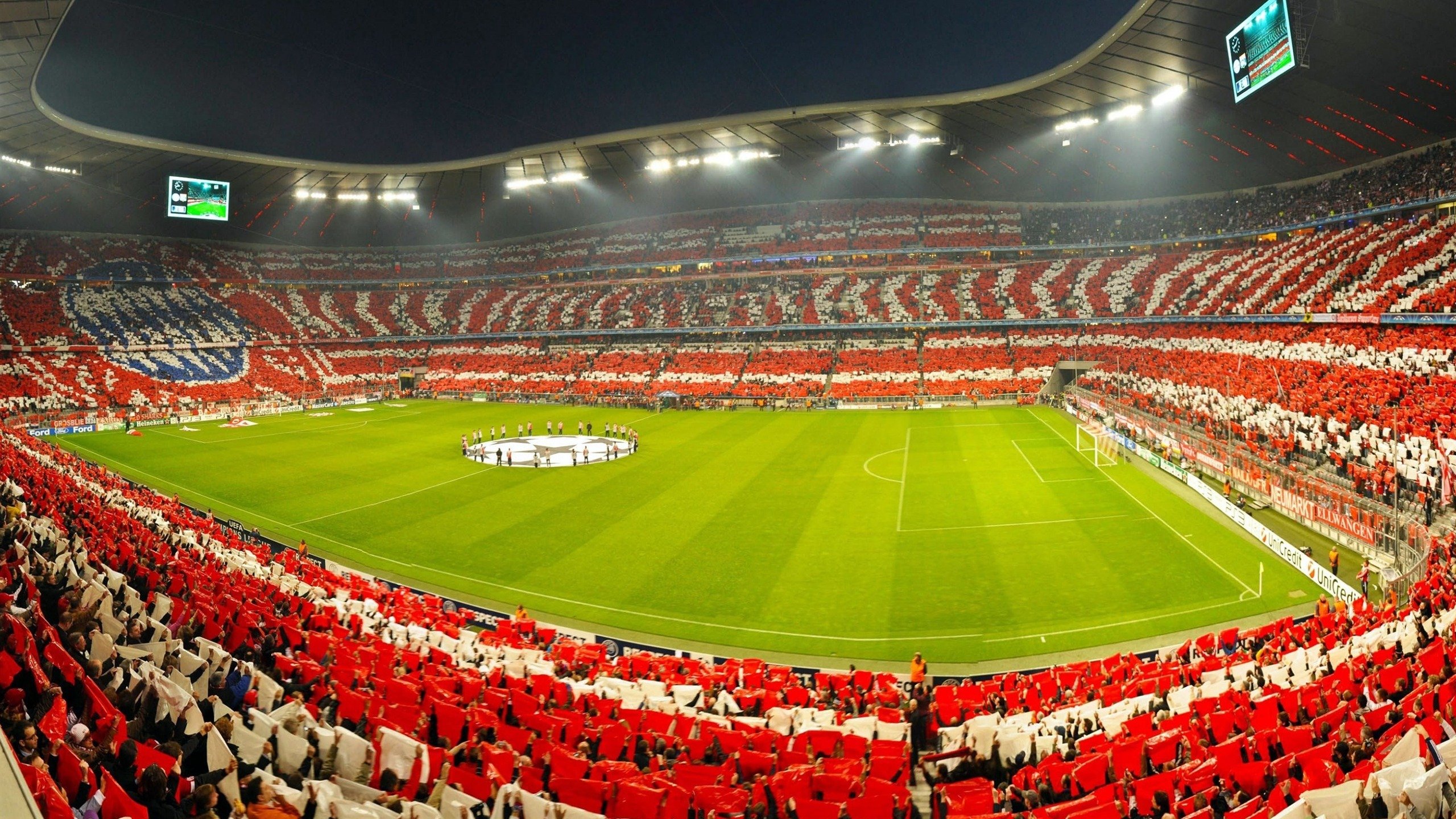 开云体育下载-伊拉克的沙漠玫瑰,在潘帕斯草原绽放